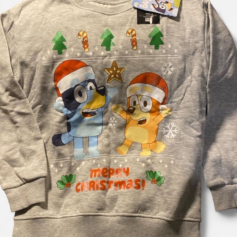 Bluey Grey Sweatshirt